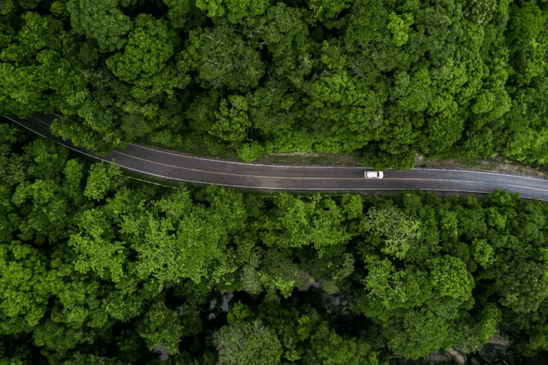 Quantum 36001 768x512